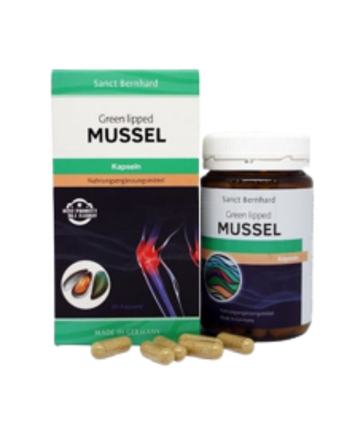 Green Lipped Mussel H/60v