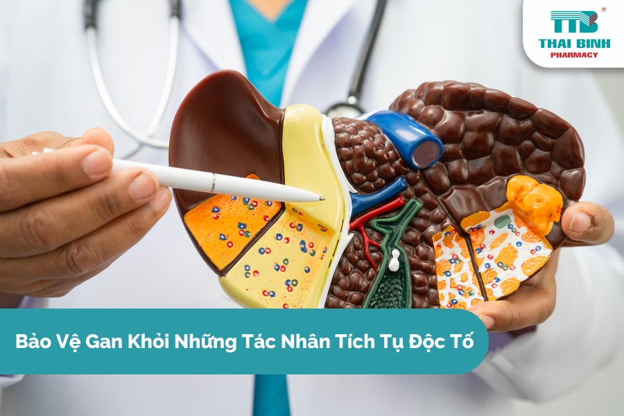 Bảo Vệ Gan Khỏi Những Tác Nhân Tích Tụ Độc Tố