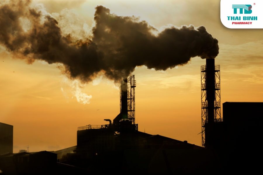 Bảo Vệ Gan Khỏi Những Tác Nhân Tích Tụ Độc Tố