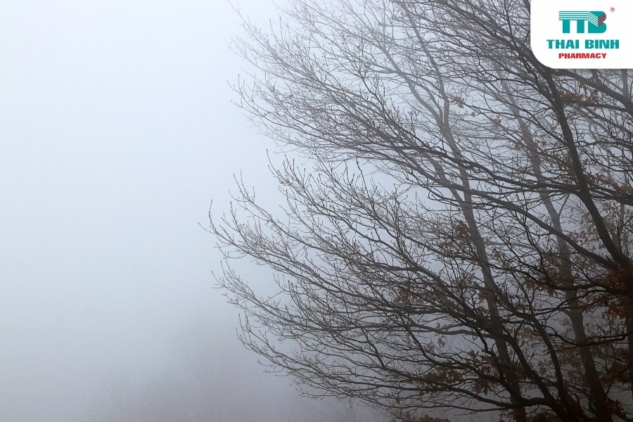 Cảnh Báo Viêm Xoang Cấp Bùng Phát Mạnh Trong Mùa Lạnh