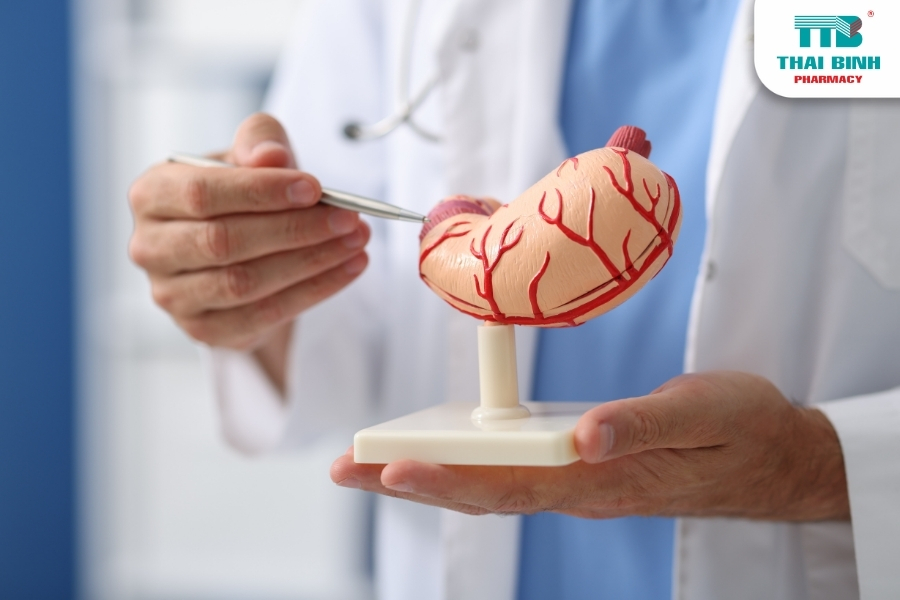 Điểm Mặt Bệnh Tiêu Hóa Phổ Biến Hay Mắc Phải