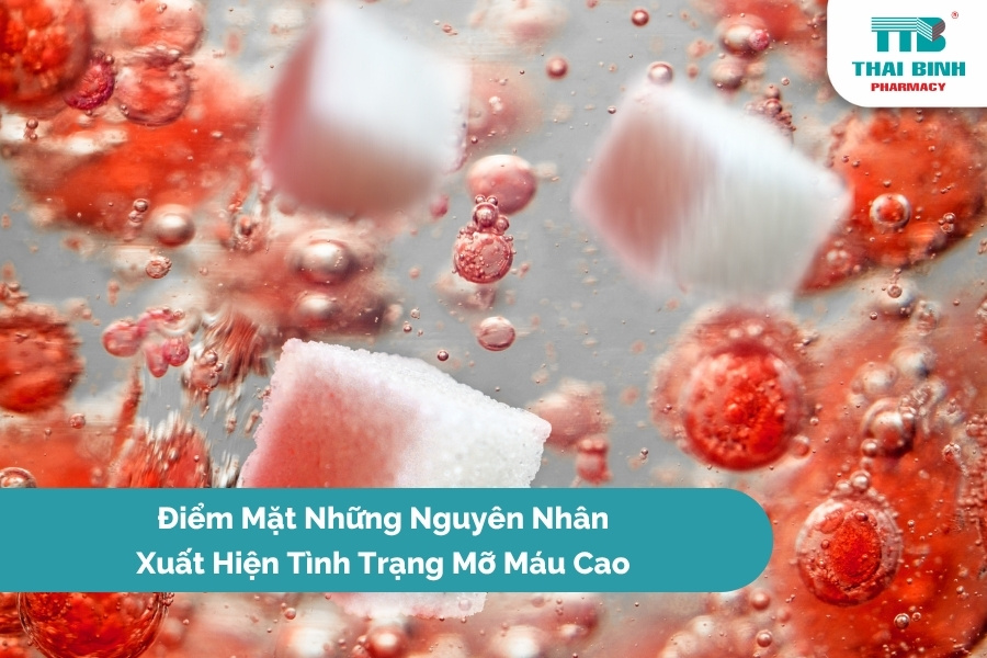Điểm Mặt Những Nguyên Nhân Xuất Hiện Tình Trạng Mỡ Máu Cao