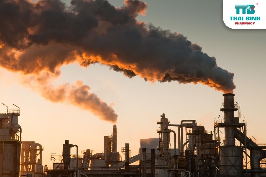 Khám Phá Các Bệnh Thường Gặp Ở Phổi Mà Bạn Cần Biết