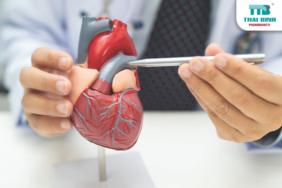 Nâng Cao Sức Khỏe Tim Mạch Với Chế Độ Dinh Dưỡng 