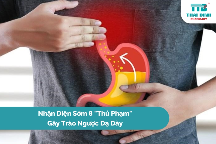 Nhận Diện Sớm 8 "Thủ Phạm" Gây Trào Ngược Dạ Dày