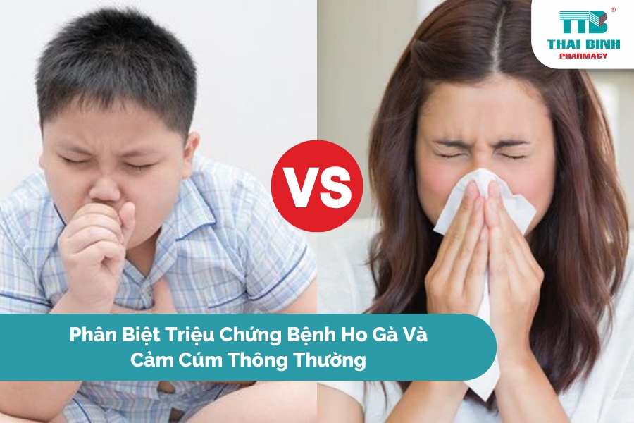 Phân Biệt Triệu Chứng Bệnh Ho Gà Và Cảm Cúm Thông Thường