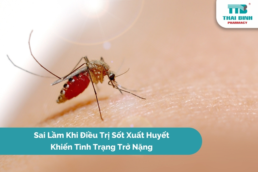 Sai Lầm Khi Điều Trị Sốt Xuất Huyết Khiến Tình Trạng Trở Nặng