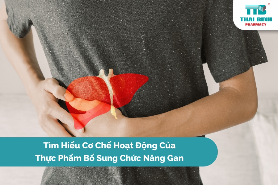Tìm Hiểu Cơ Chế Hoạt Động Của Thực Phẩm Bổ Sung Chức Năng Gan