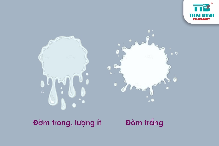 Triệu Chứng Ho Có Đờm Màu Trắng Cảnh Báo Điều Gì?